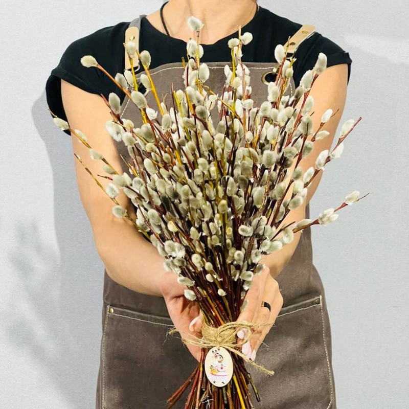 Bouquet of flowering willow 101 pcs, standart