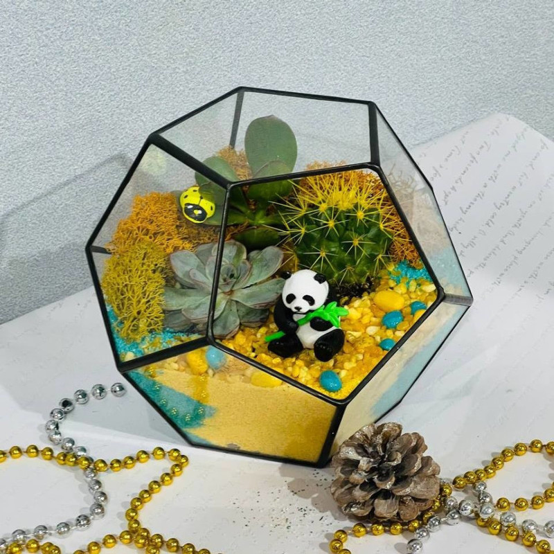 Plant florarium with panda, standart