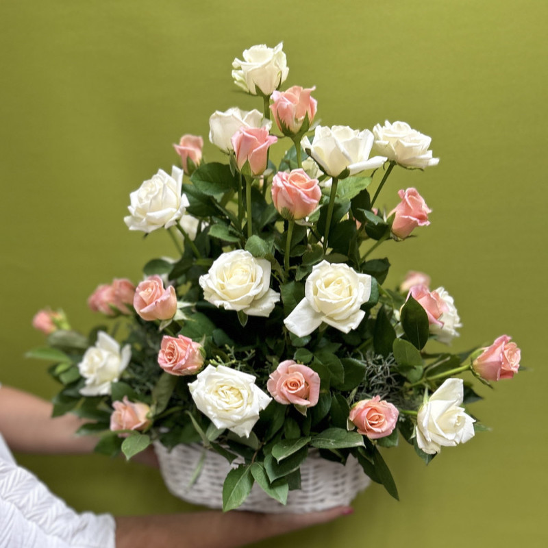 Monobasket of 45 roses, standart