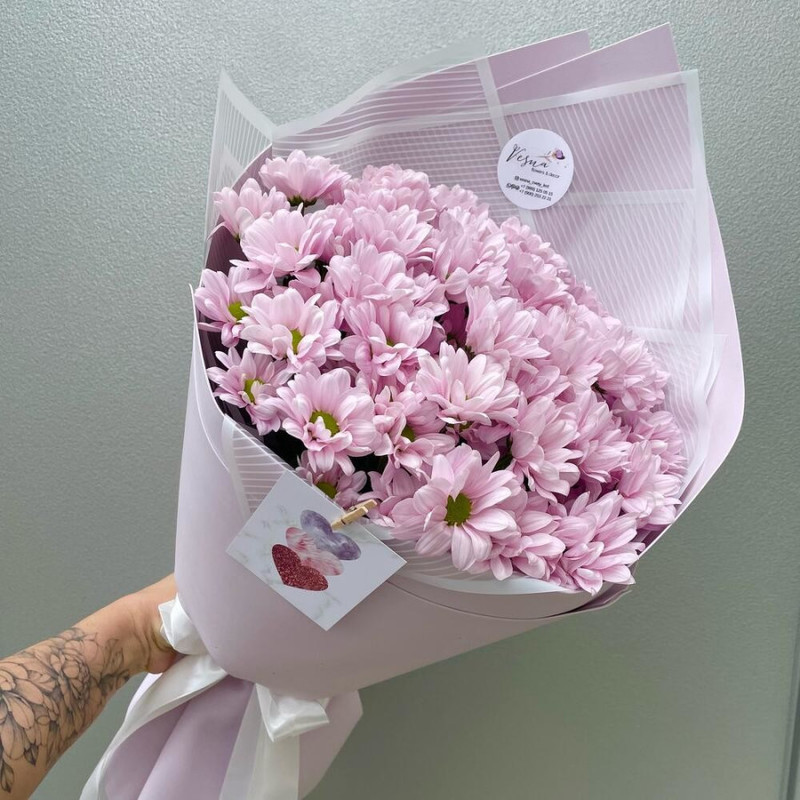 Bouquet of pink chamomile chrysanthemums, standart