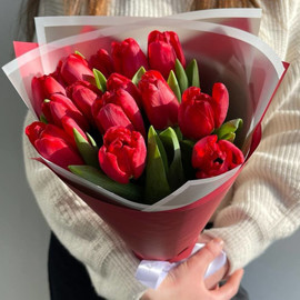 Bouquet of 15 red tulips