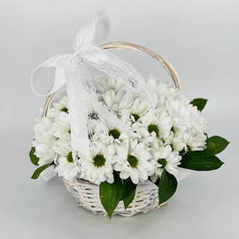 Daisies in a basket