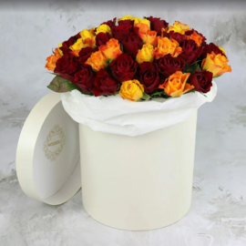 51 yellow and red roses 40 cm in a hat box