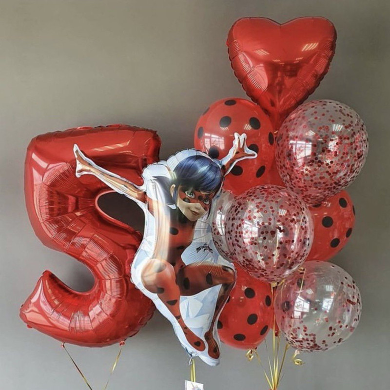 Balloons for girls "Lady Bug", standart