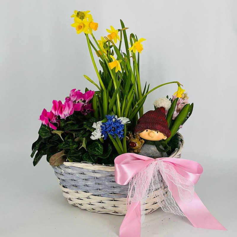 Gift basket with primroses for Easter, standart