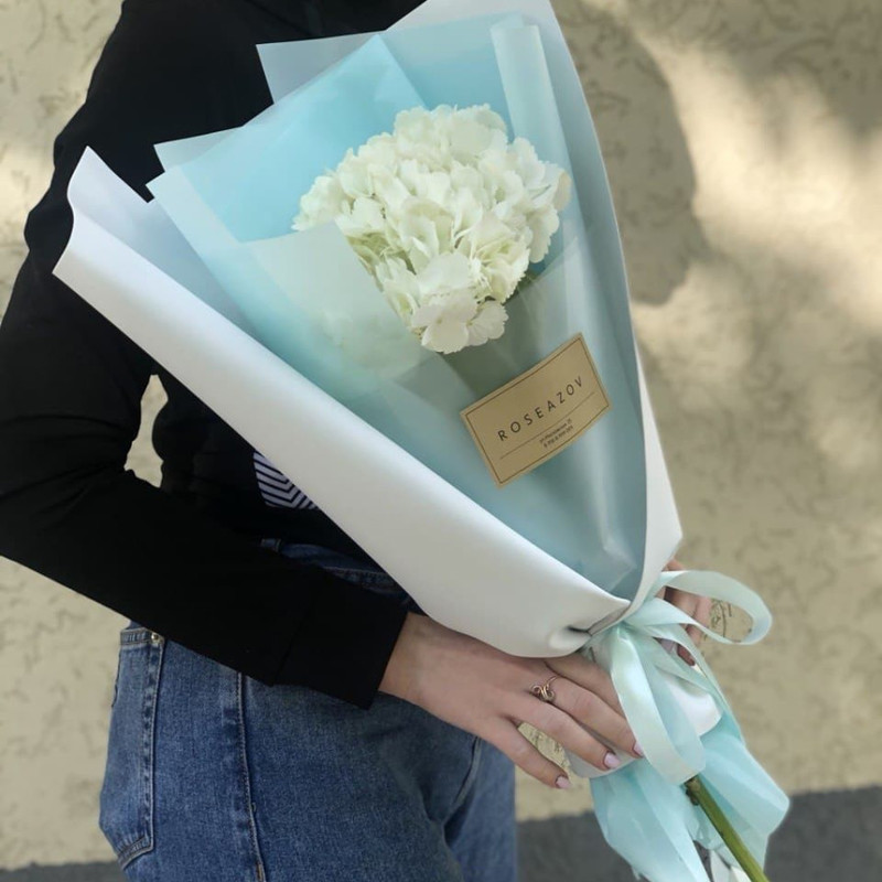 Bouquet of white hydrangea, standart