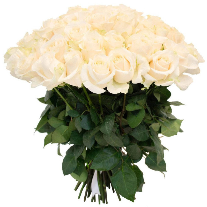 Bouquet of 51 white roses 50 cm, standart