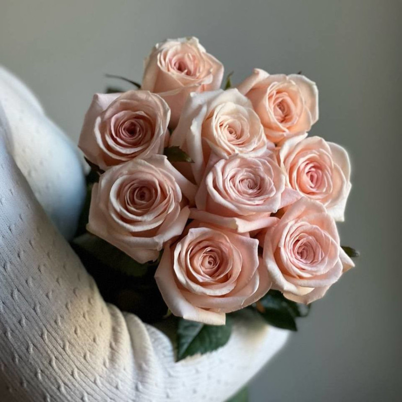 Pale pink roses, standart