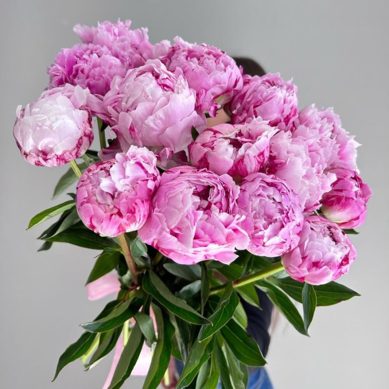 Букет из 15 розовых пионов Сара Бернар, стандартный