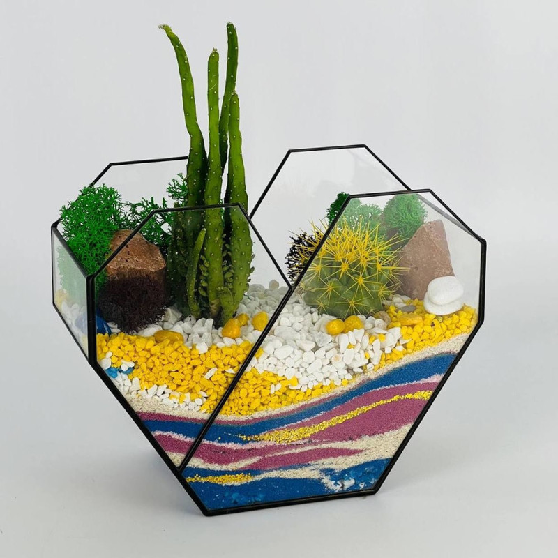 Gift florarium heart with succulents and colored sand, standart