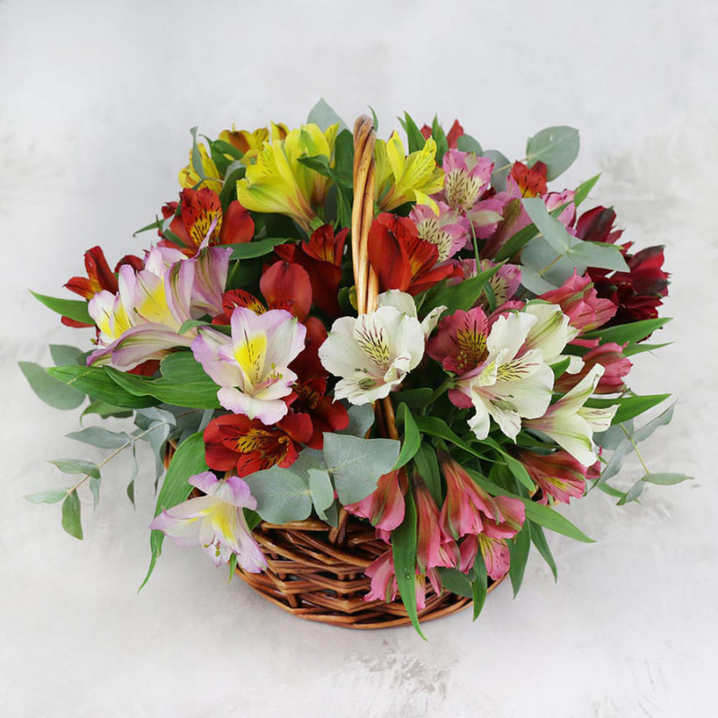 Composition of colorful alstroemerias and eucalyptus in a basket, standart