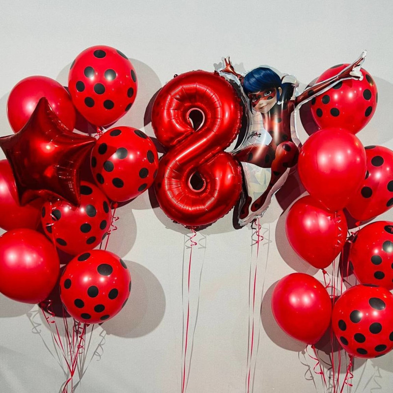 Set of balloons for girl Lady Bug, standart