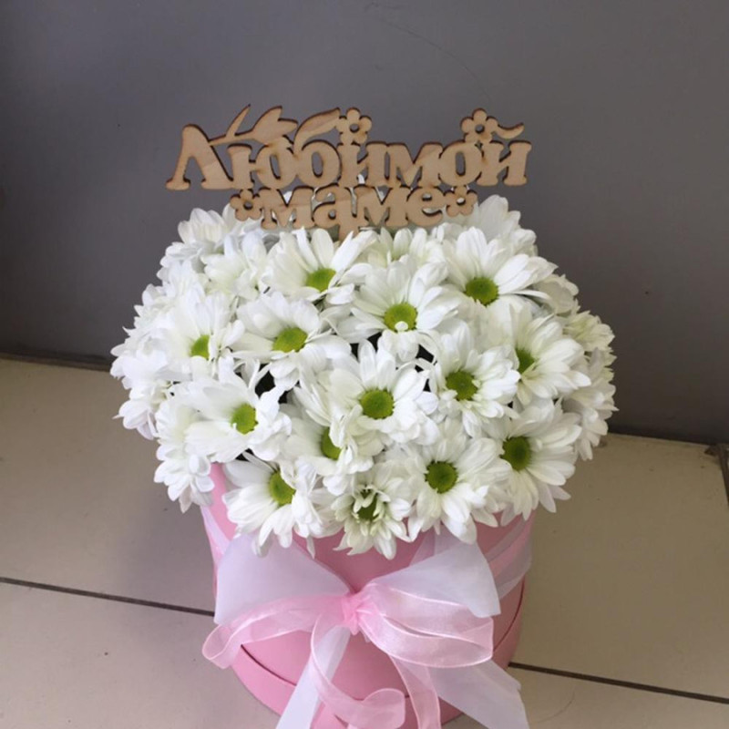 Hat box with chrysanthemum Bacardi, standart