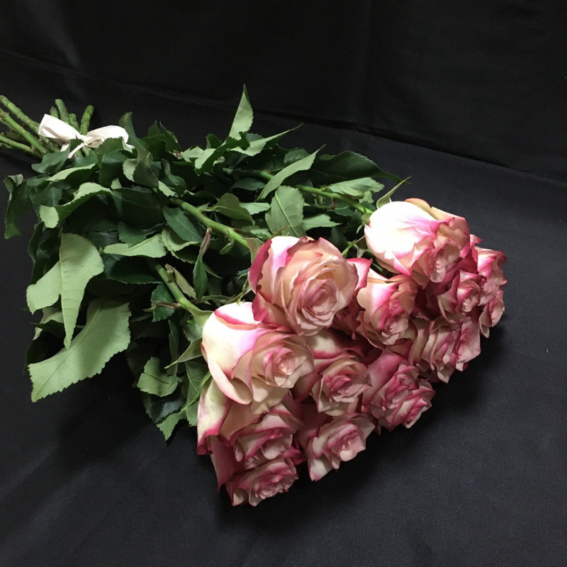 15 Розовых роз 70 см, стандартный