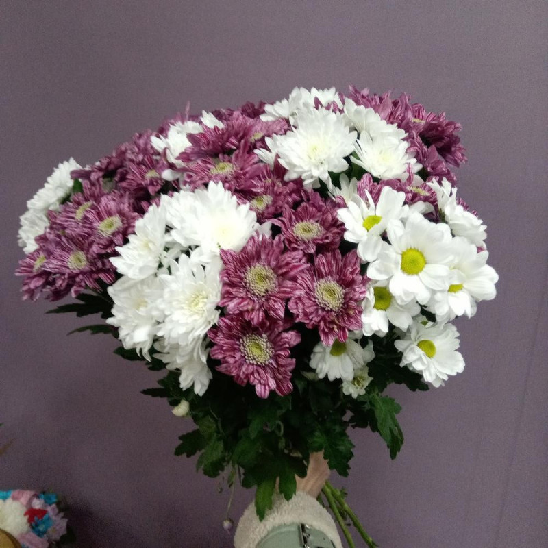 Bouquet mix 15 spray chrysanthemums, standart
