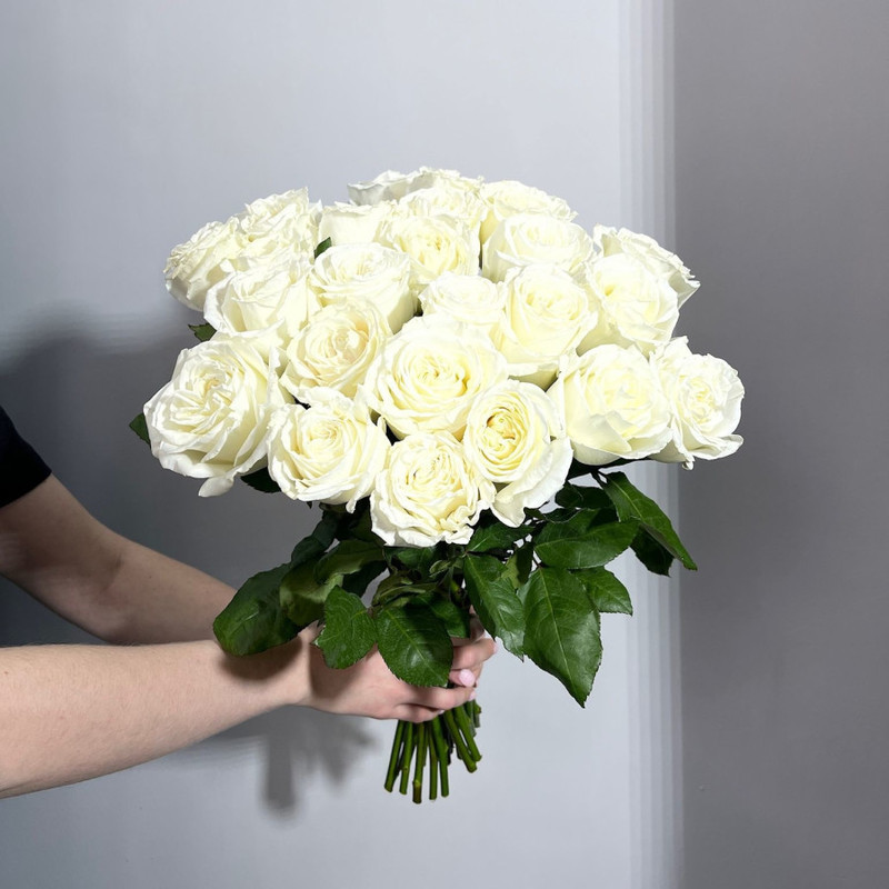 White roses Ecuador, standart
