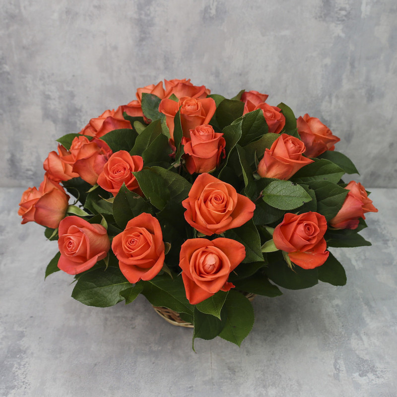 Корзина из 25 роз «Коралловые розы Вау с зеленью», стандартный