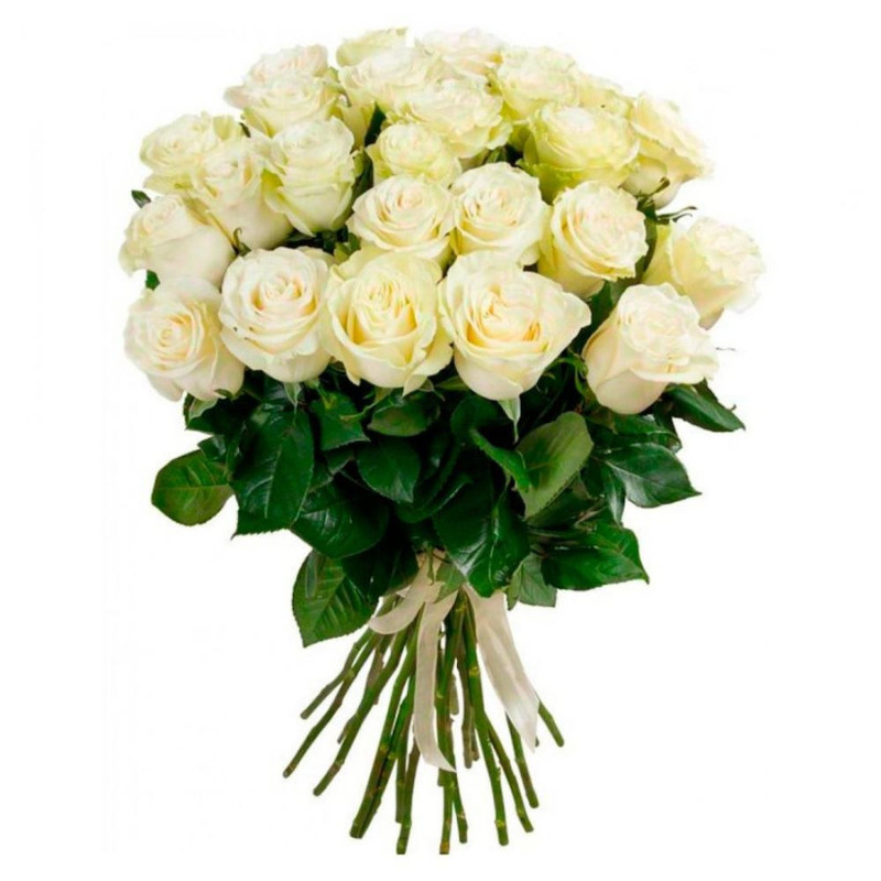 Bouquet of 25 white roses 40 cm, standart