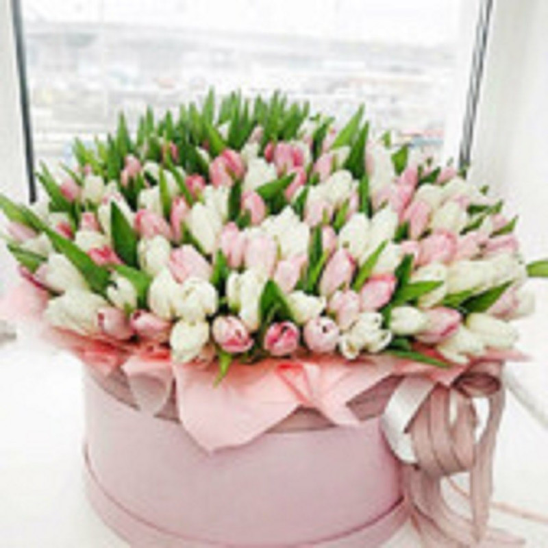 Box with tulips, standart