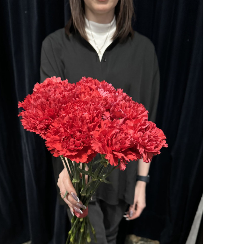 15 red carnations, standart