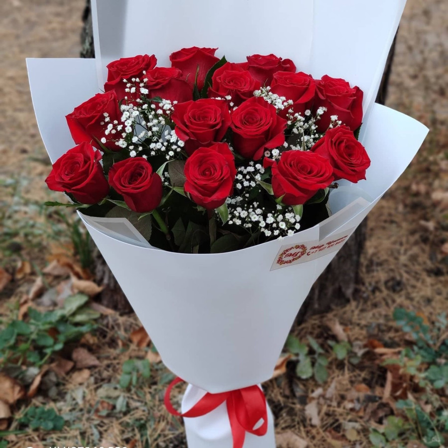 25 Красных роз с гипсофилой