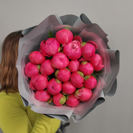 21 selected peonies Coral Charm