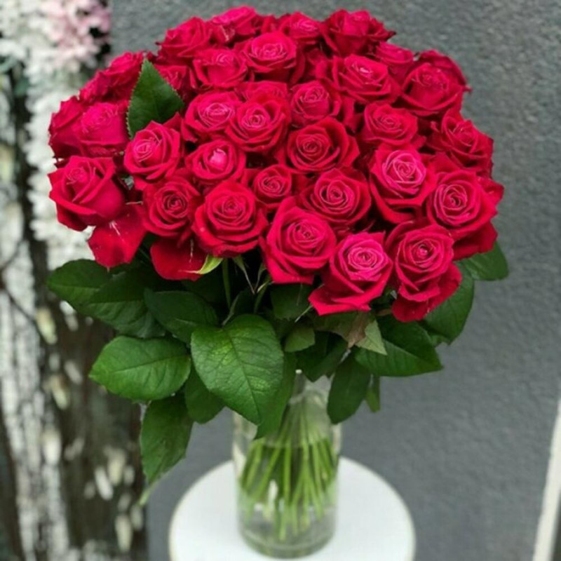 31 crimson roses "Shangrila" 60 cm in a package of your choice, standart
