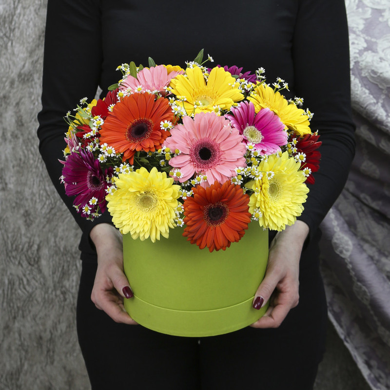 21 gerbera mix with chamomile in a box, standart