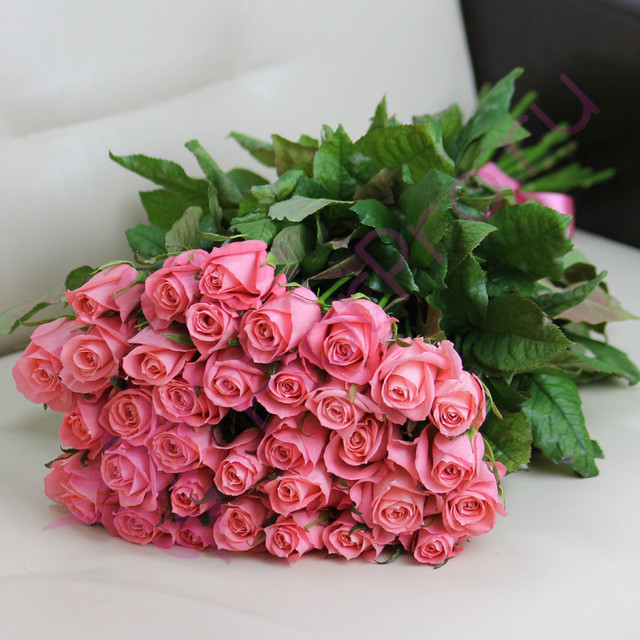 35 розовых роз Анна Карина 60 см, стандартный