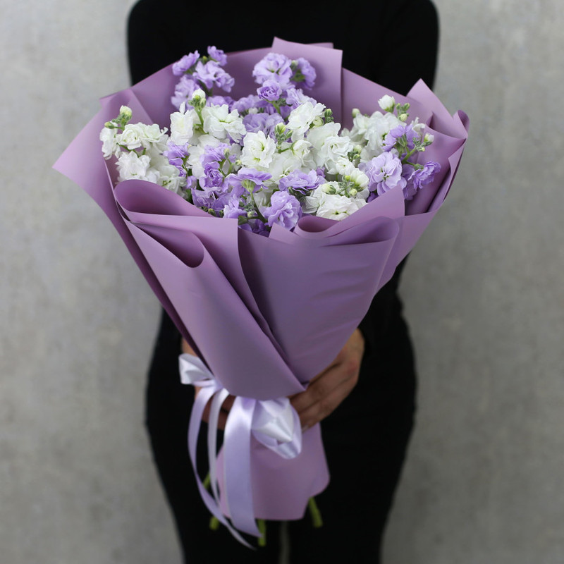 Bouquet of white and lilac mattiola, standart