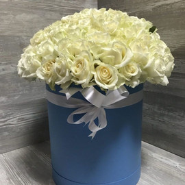 101 white roses in a box