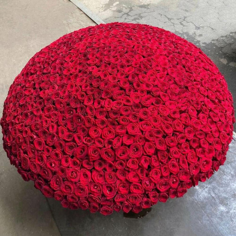 Basket with 1001 red roses, standart