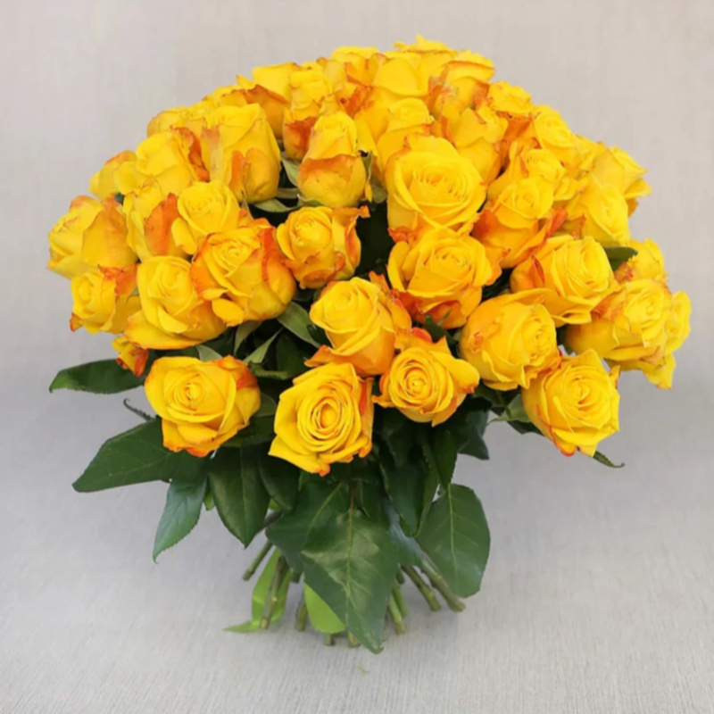 Bouquet of 51 yellow roses 40 cm, standart