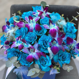 Box of blue roses and dendrodium