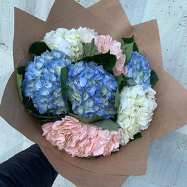 Bouquet of 7 hydrangeas