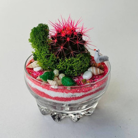 cactus with decor