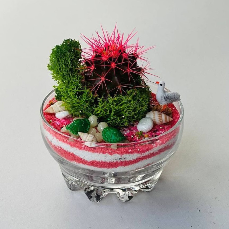 cactus with decor, standart