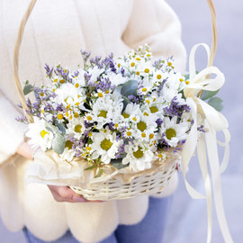 Basket with chrysanthemum and chamomile Sunlight