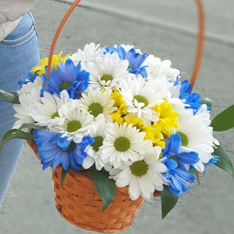 Basket of colored daisies, standart
