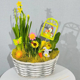 Easter gift mini garden with live plants