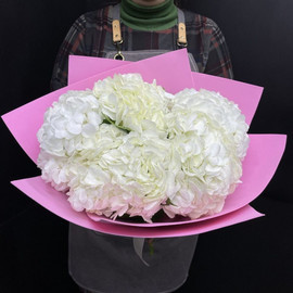 Bouquet of hydrangea "Marshmallow"