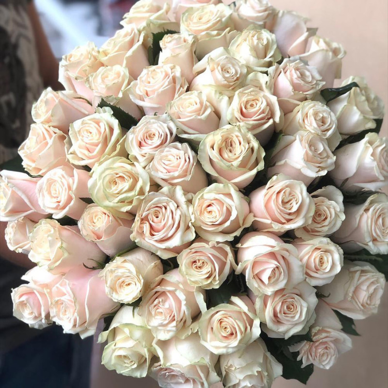 51 roses of the Talea variety, standart