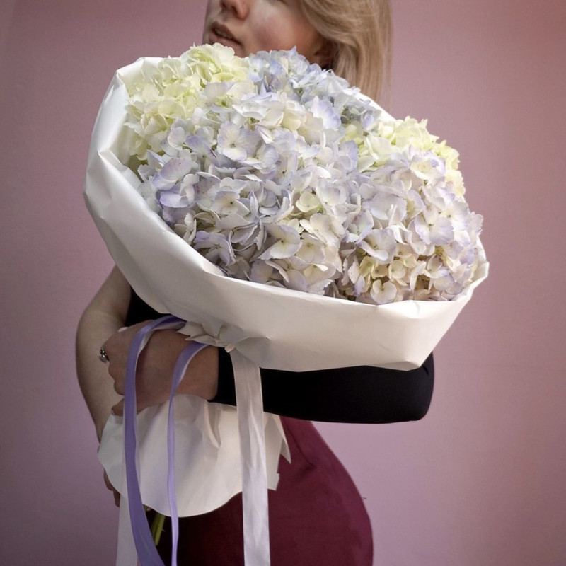 Bouquet of 7 charming hydrangeas in designer packaging, standart