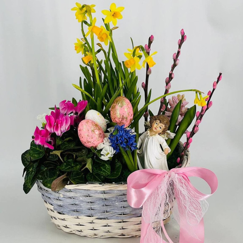 Gift mini garden with primroses, standart