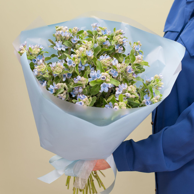 Bouquet of flowers "Oxypetalum", standart