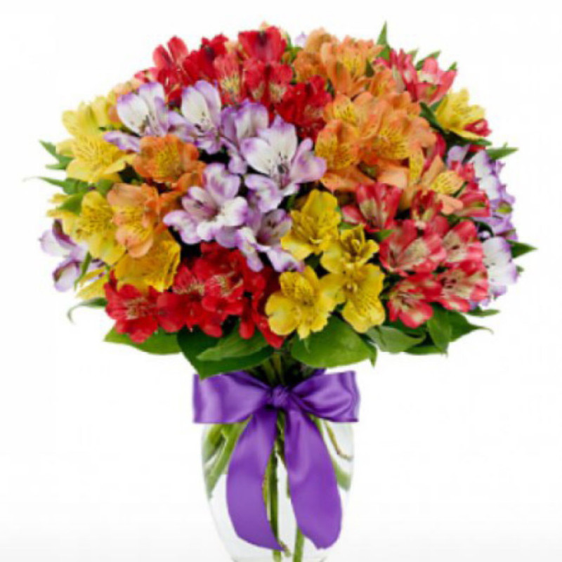 Bouquet Multicolored Alstroemeria, standart