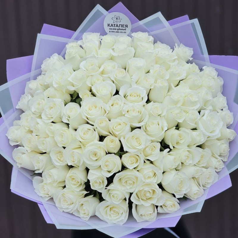 101 white roses, standart
