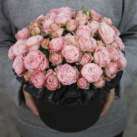 Коробка из 15 кустовых пионовидных роз «Беатриче»