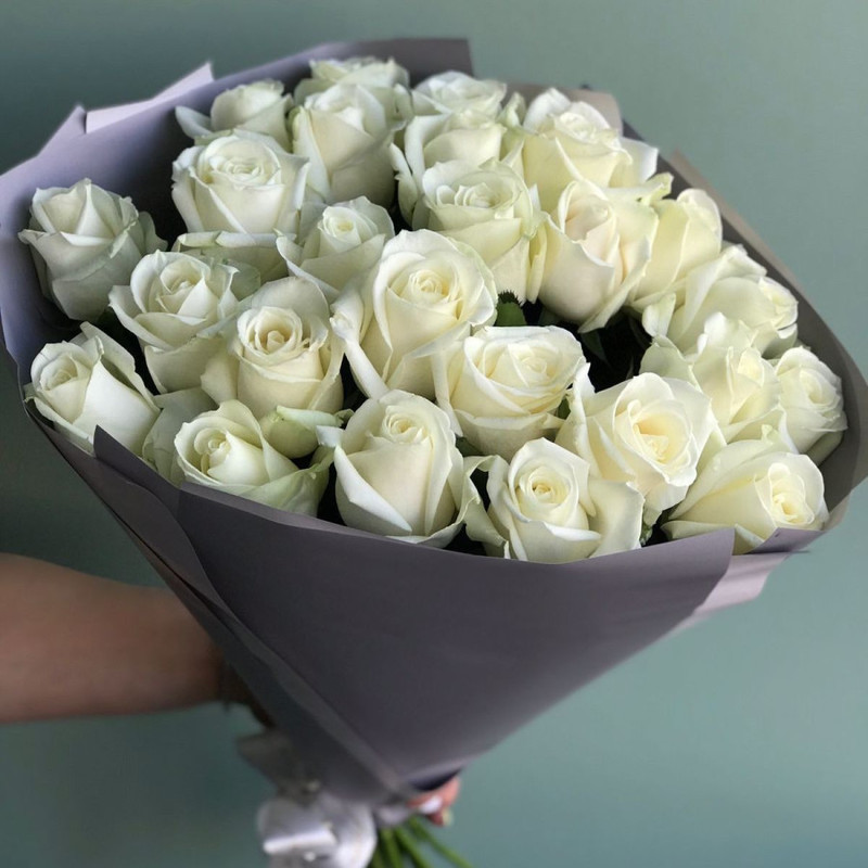 25 white roses in a stylish package, standart