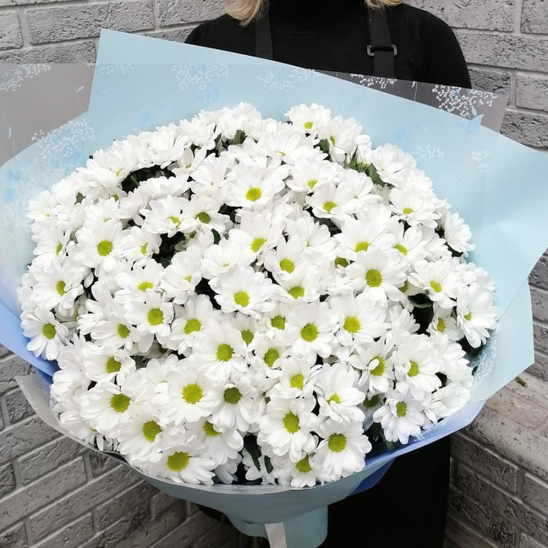 Bouquet of 15 spray chrysanthemums, standart